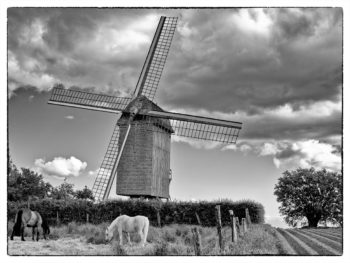Le moulin Den Leeuw de Pitgam
