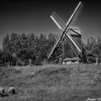 Moulin à vent de Gravelines