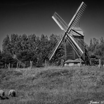 Moulin à vent de Gravelines