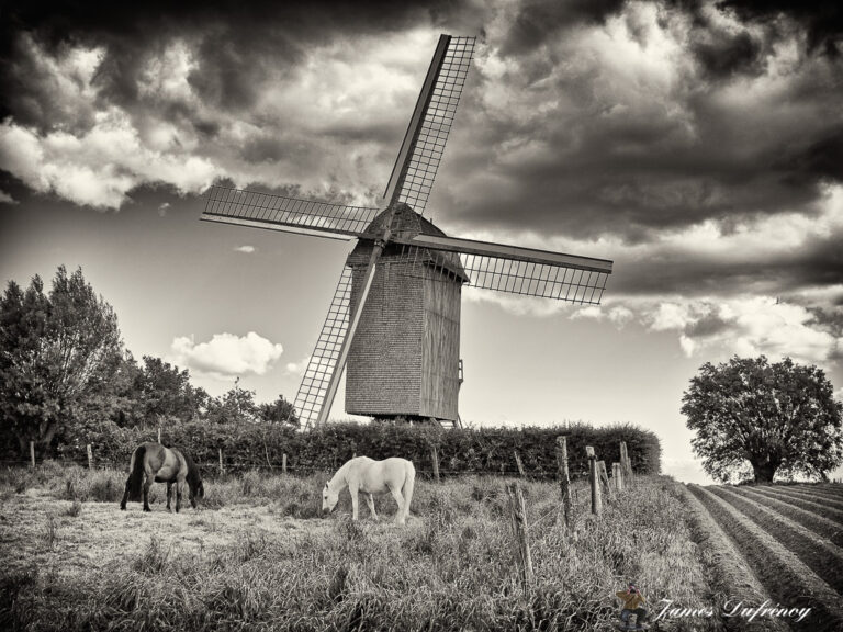 Le moulin Den Leeuw de Pitgam